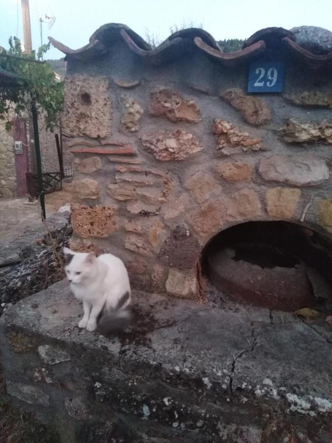 Φιλυρα Πετρινο Villa Kernitsa Bagian luar foto